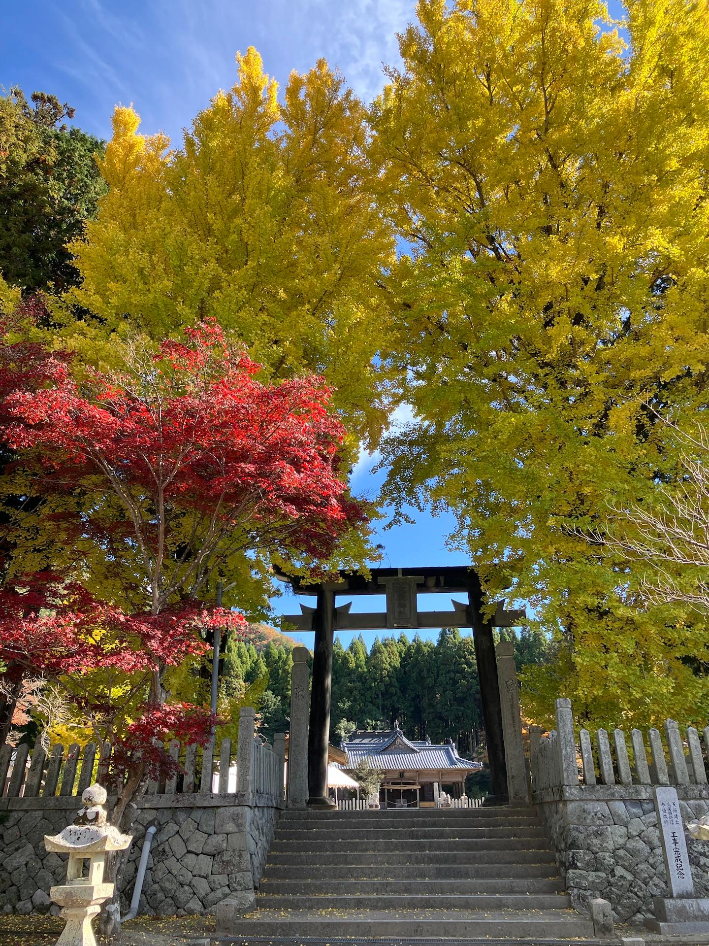 ＜紅葉＞見頃「福本神社。まさに見頃です。」