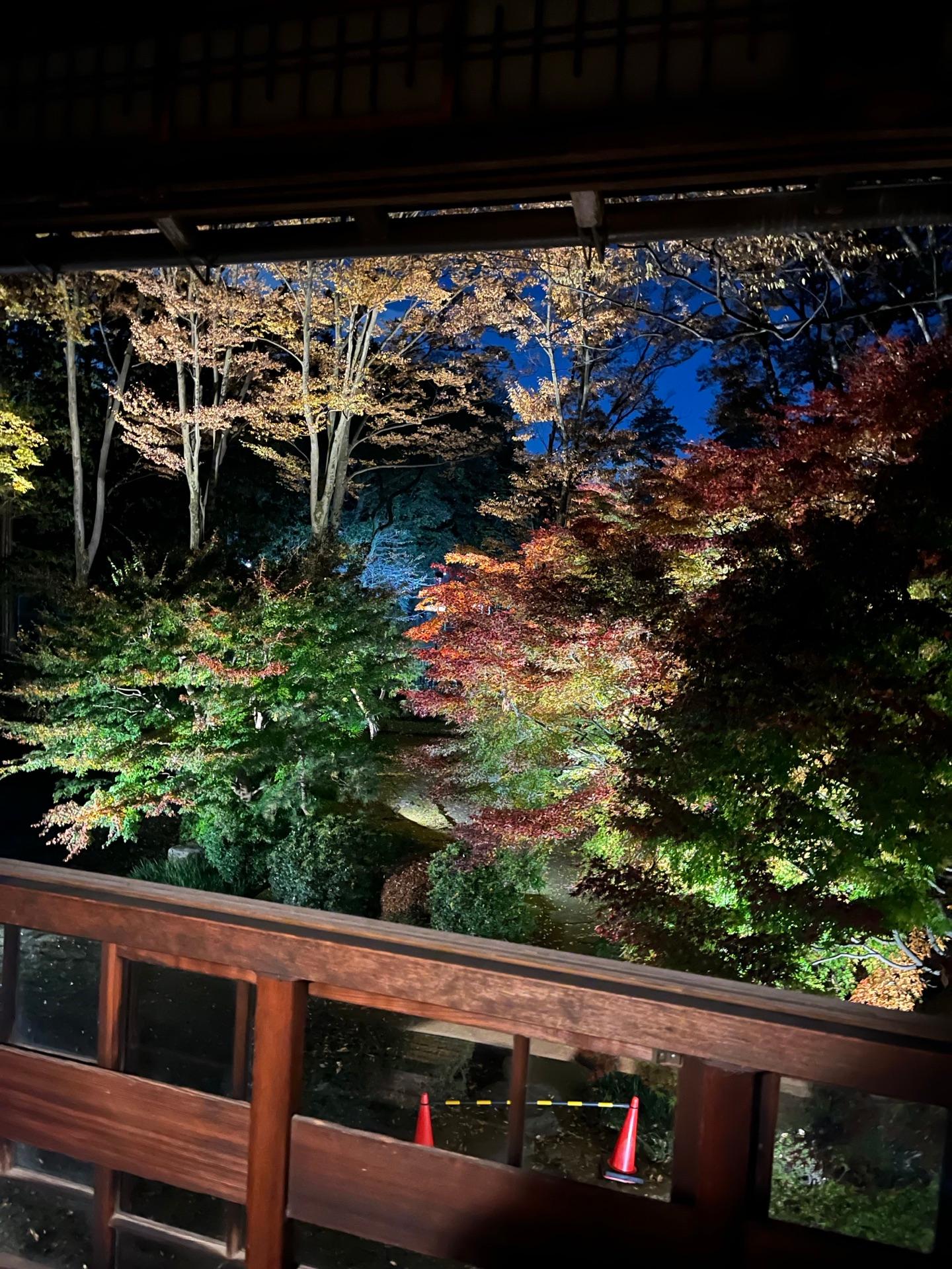 ＜紅葉＞見頃「小金井公園すごいよ」