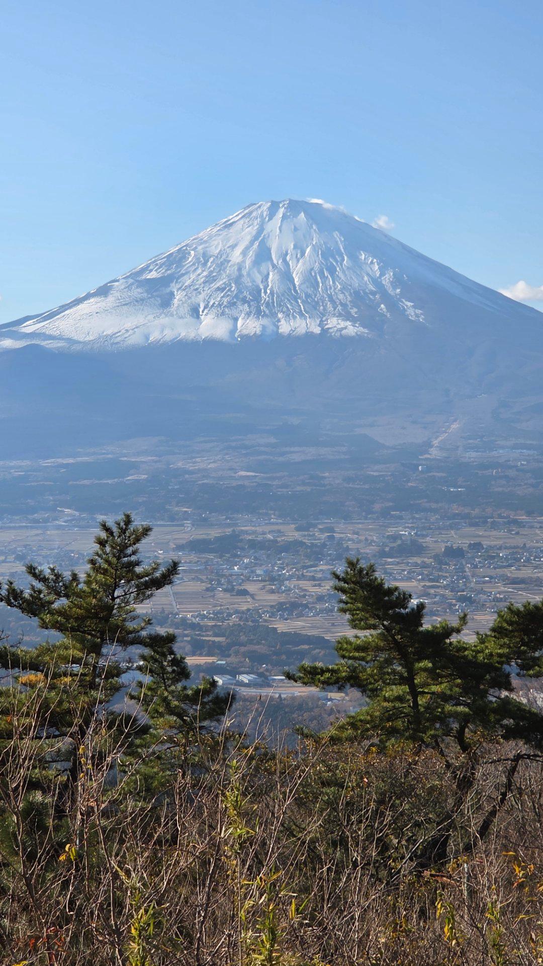 足柄峠の展望台から見た富士山は、綺麗で迫力がありました。自衛隊の大砲の音も聞こえて、遠くに演習場の煙も見えてましたよ。