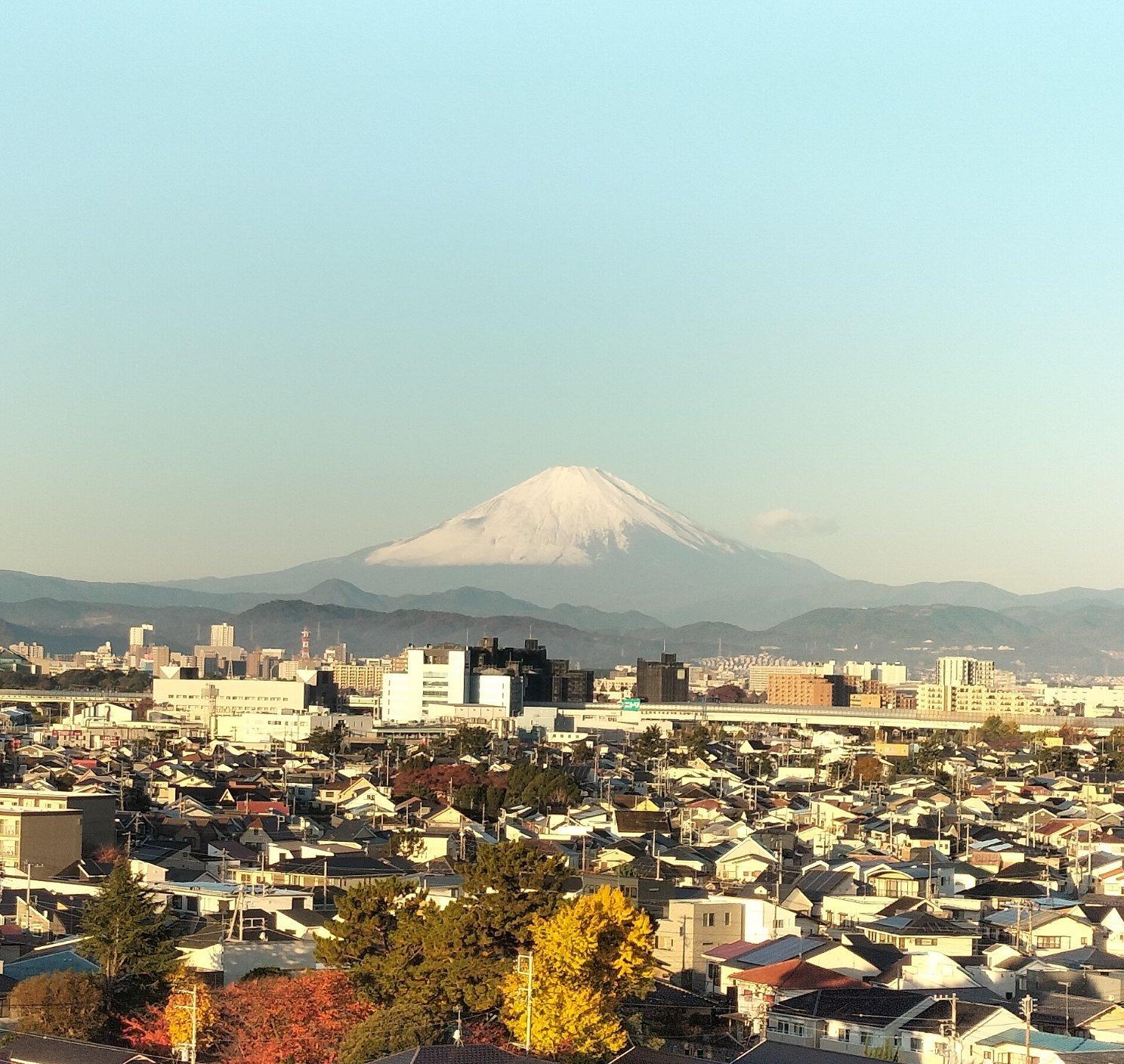 更に雪を被ってます