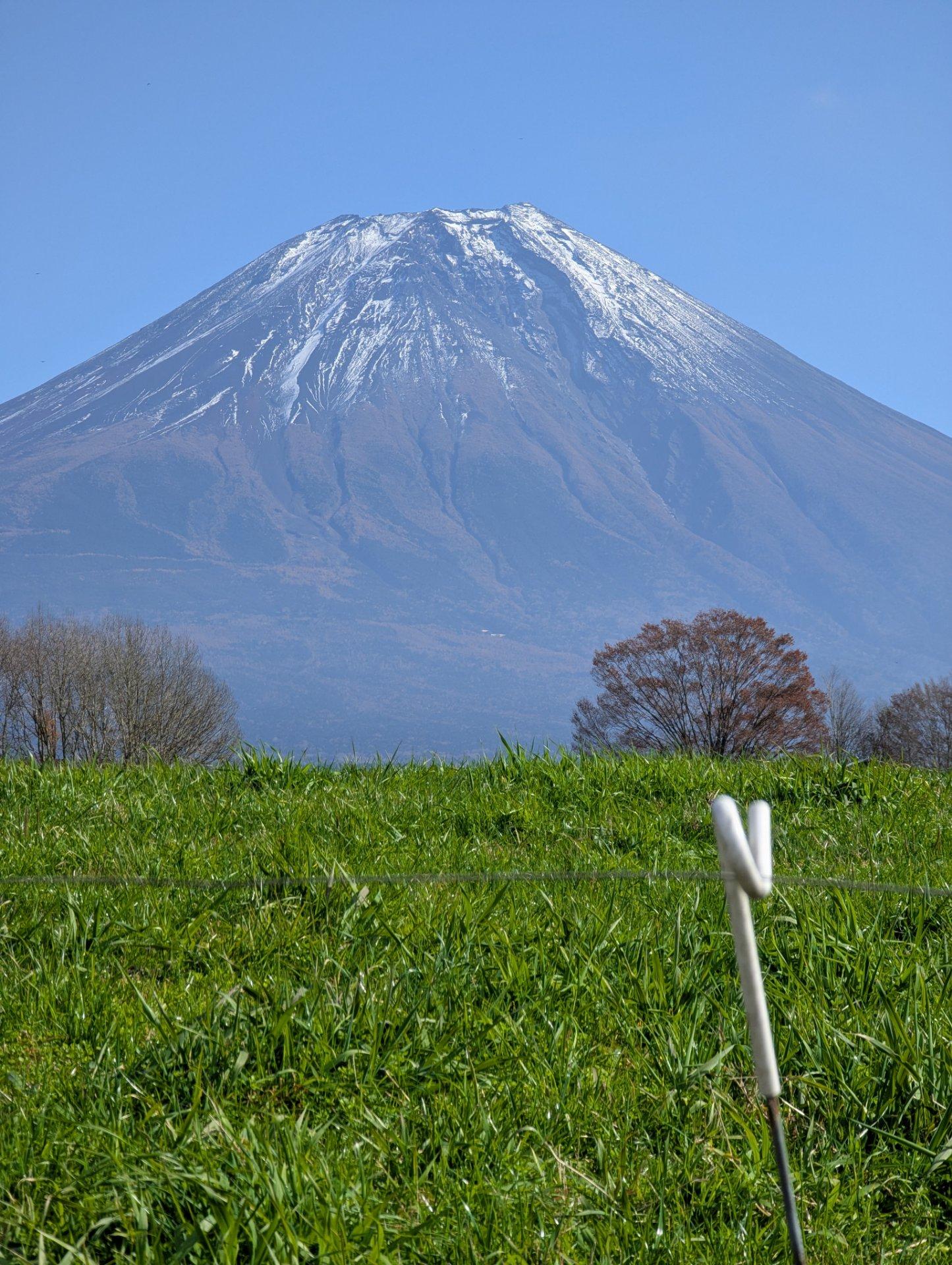 朝霧高原から見た富士山。