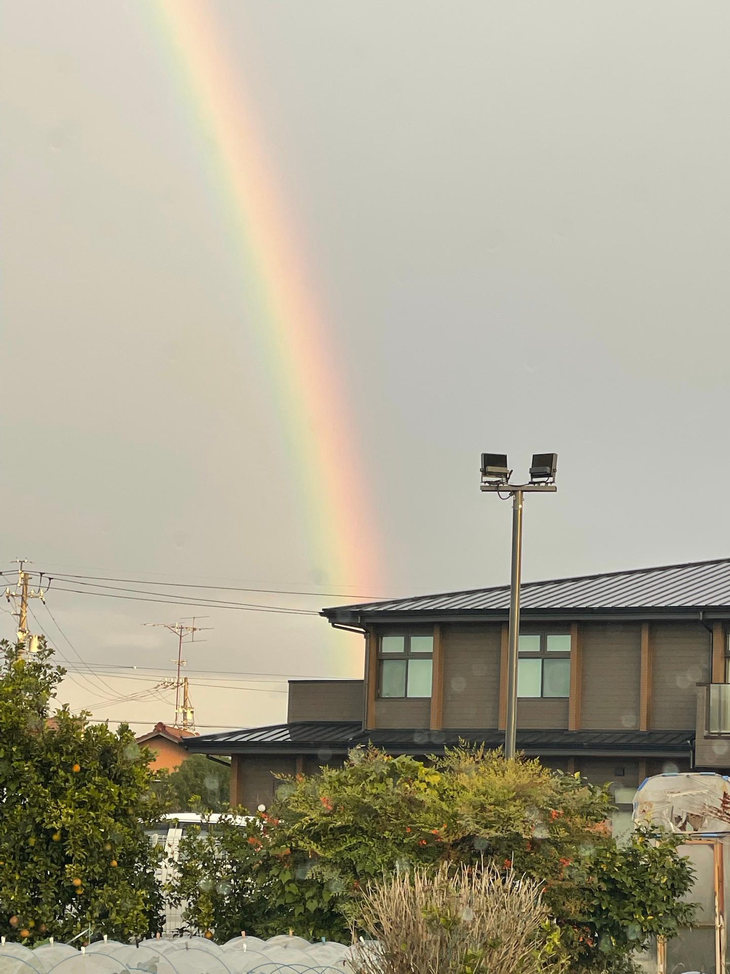 🌈虹が