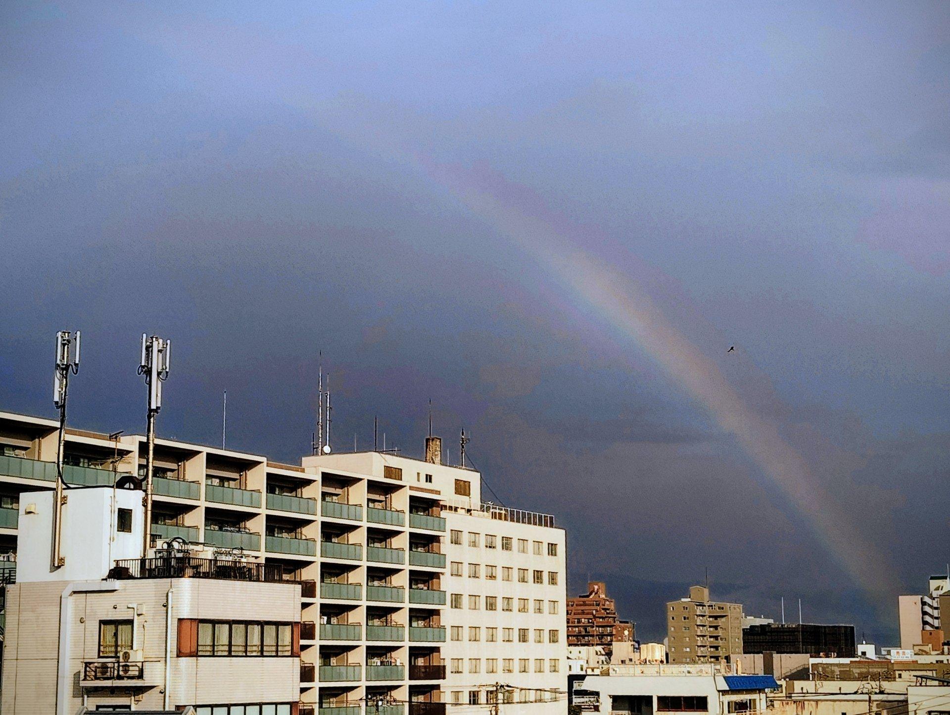陽が射して一瞬だけ<br />虹🌈が見えました現在気温🌡12.3℃ 湿度90%風速0.5m/s 方向 北北西