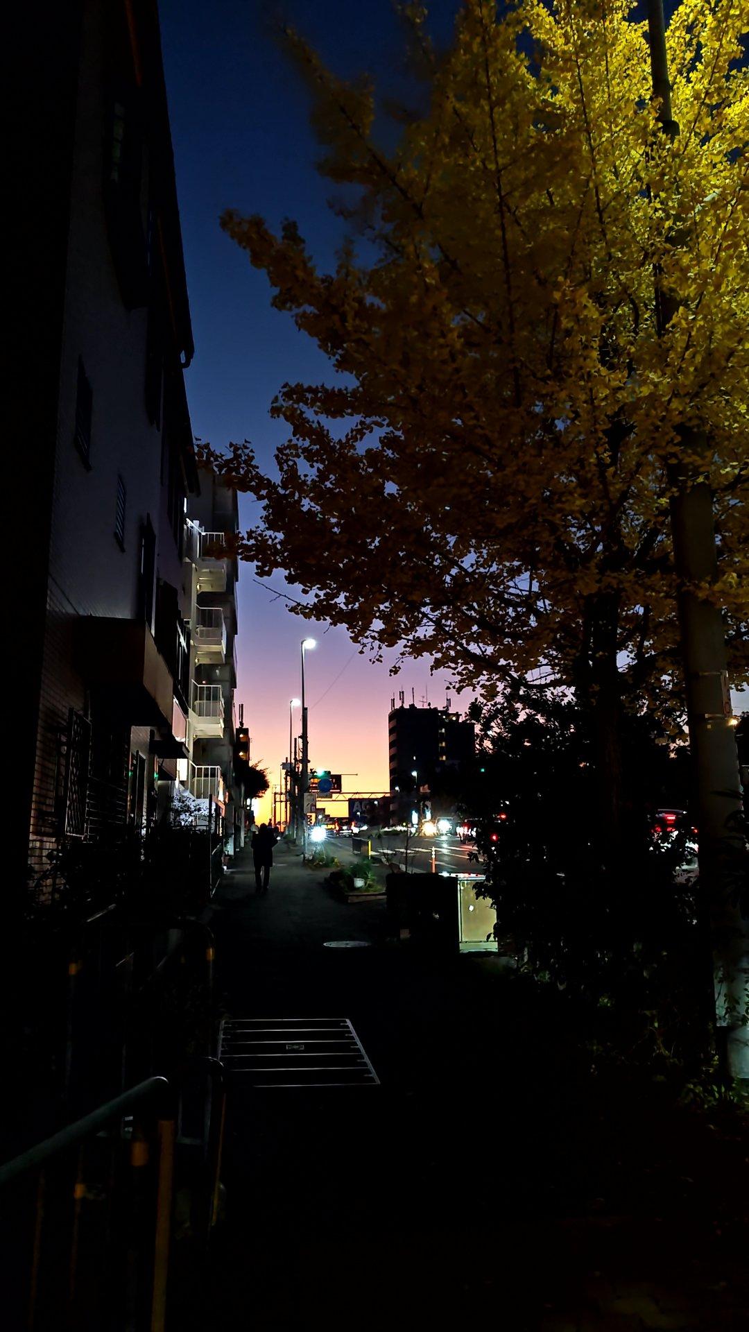 今日も暮れました🌇🌅