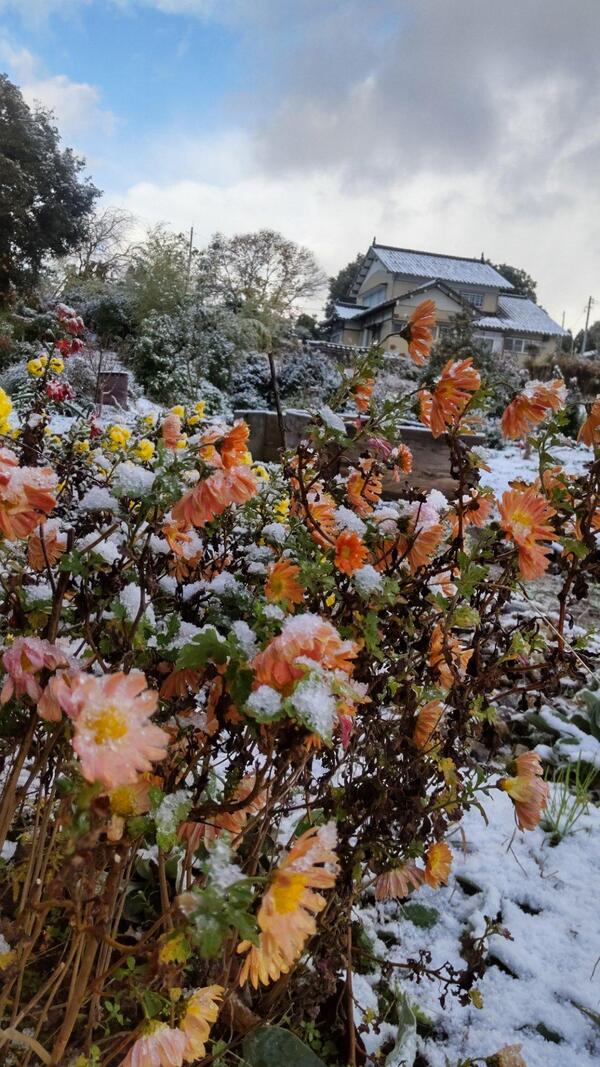 うっすら雪景色