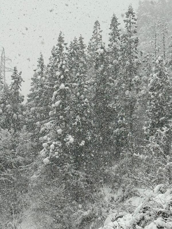 朝の道路除雪ありがとう😊