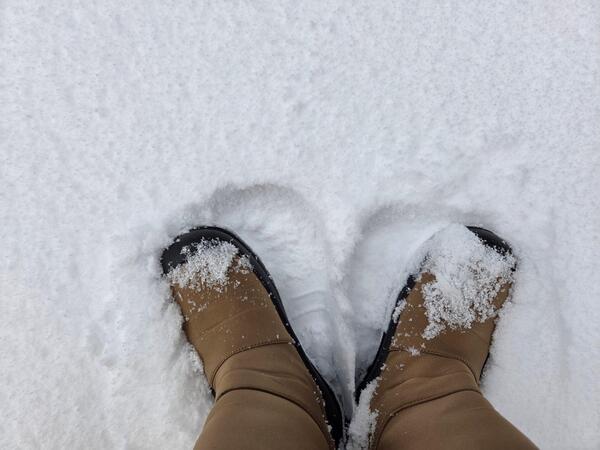 雪降っています。