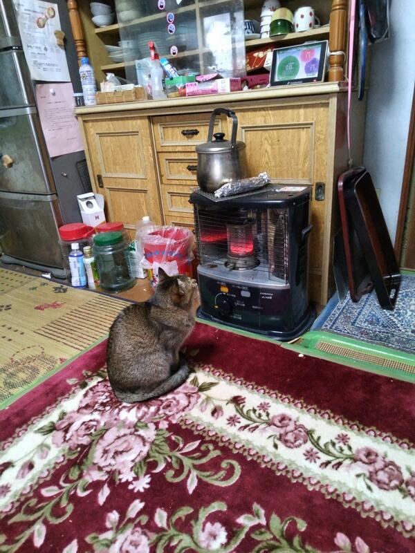 犬鳴峠「滑り止め規制」の様です。猫峠も同様です。我が家の猫はストーブ猫です👍