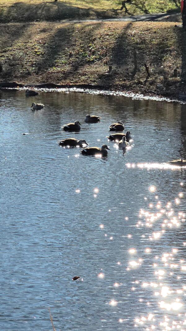 小田原フラワーガーデンにて