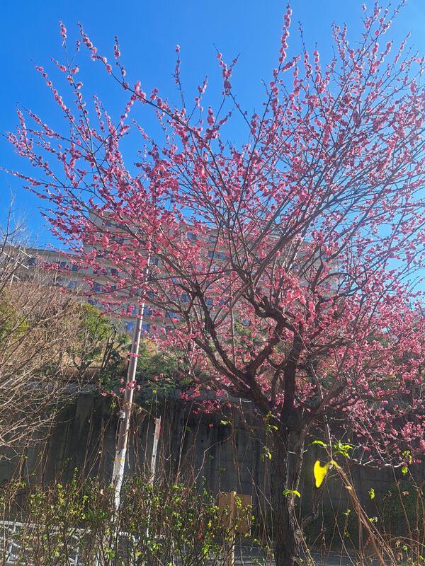 暖かくて気持ち良かった。