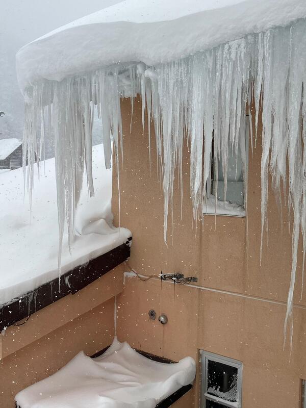 昨日からずっと雪が降っている