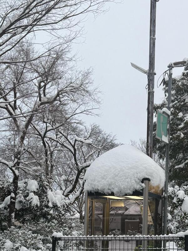 電話ボックスが帽子かぶってるみたいで可愛い