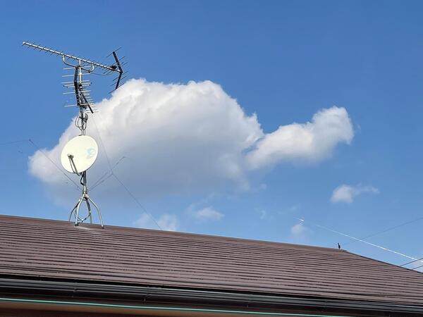 いい天気です☀<br />空を見上げたら何か？🐢亀の形の雲⛈☁