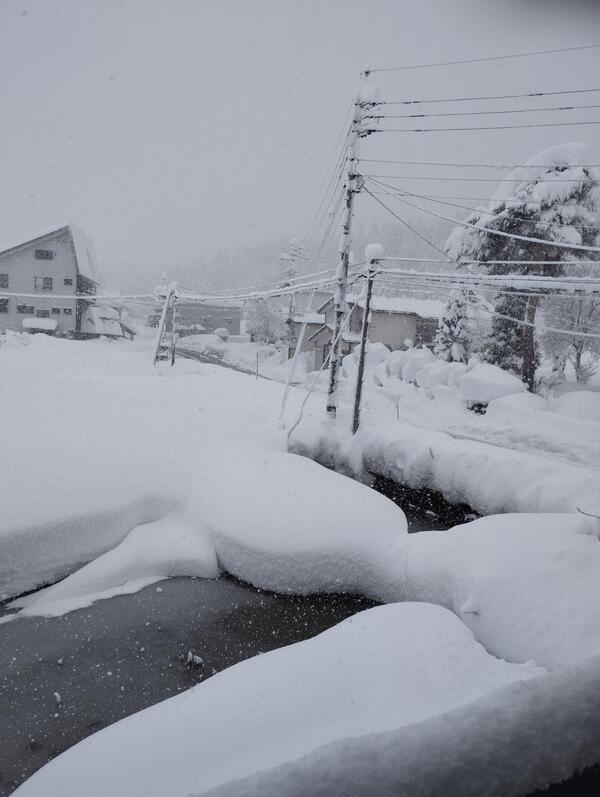 芋川、降っています<br />昨夜から降雪25cm位かな。