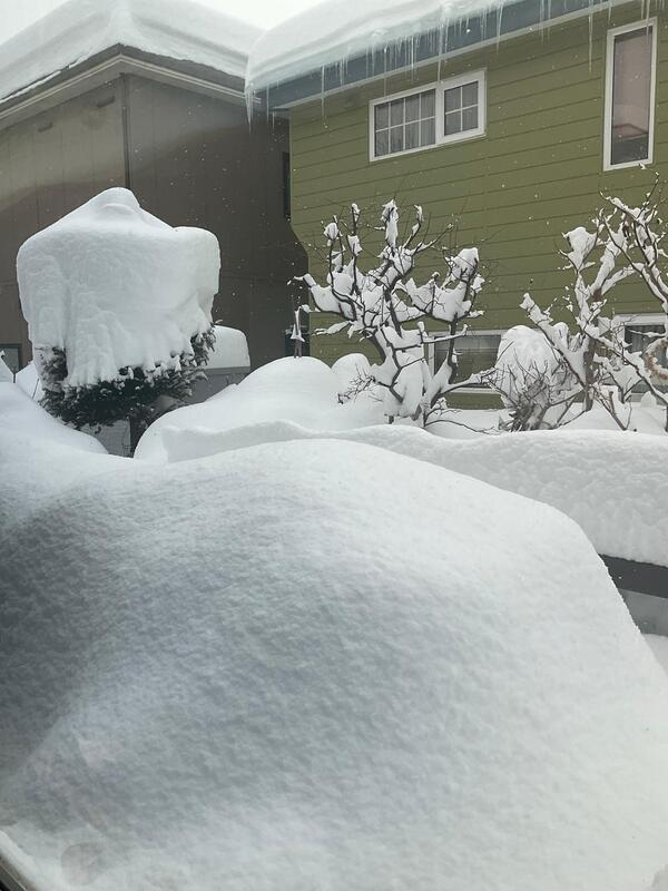 少し止んできた。これから二回目の雪ザップ。