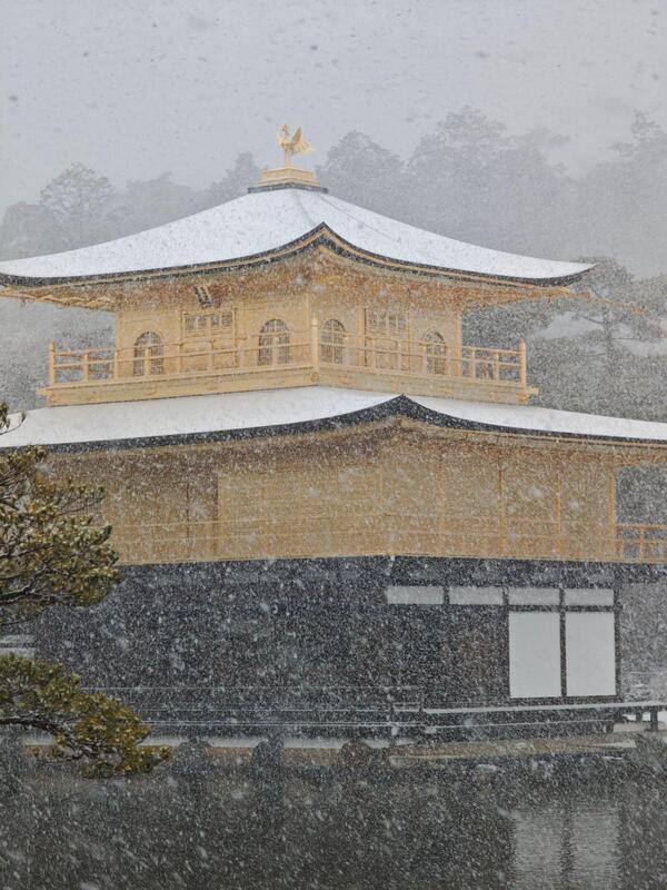 みんなの投稿ダイジェスト2026/2/11版「雪中花と雪だるまと節分と