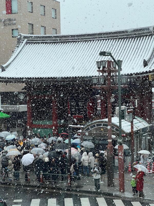 雪が舞っている