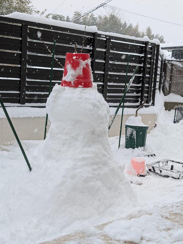 みんなの投稿ダイジェスト2026/2/11版「雪中花と雪だるまと節分と