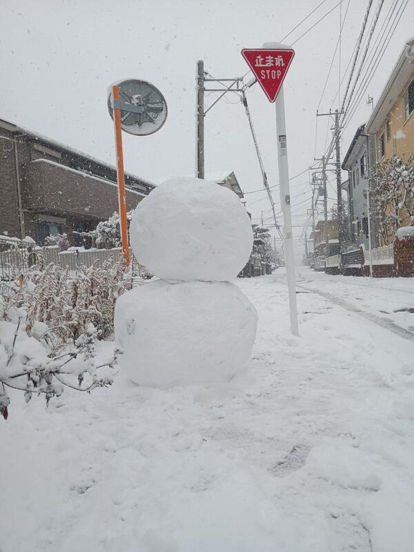 でっかい雪だるまが作れました(笑)<br />こんな大雪は2014年以来かなぁ