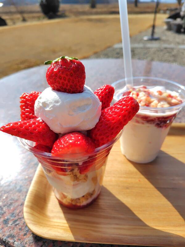 いちご🍓甘くて大きくて大満足でした🍓