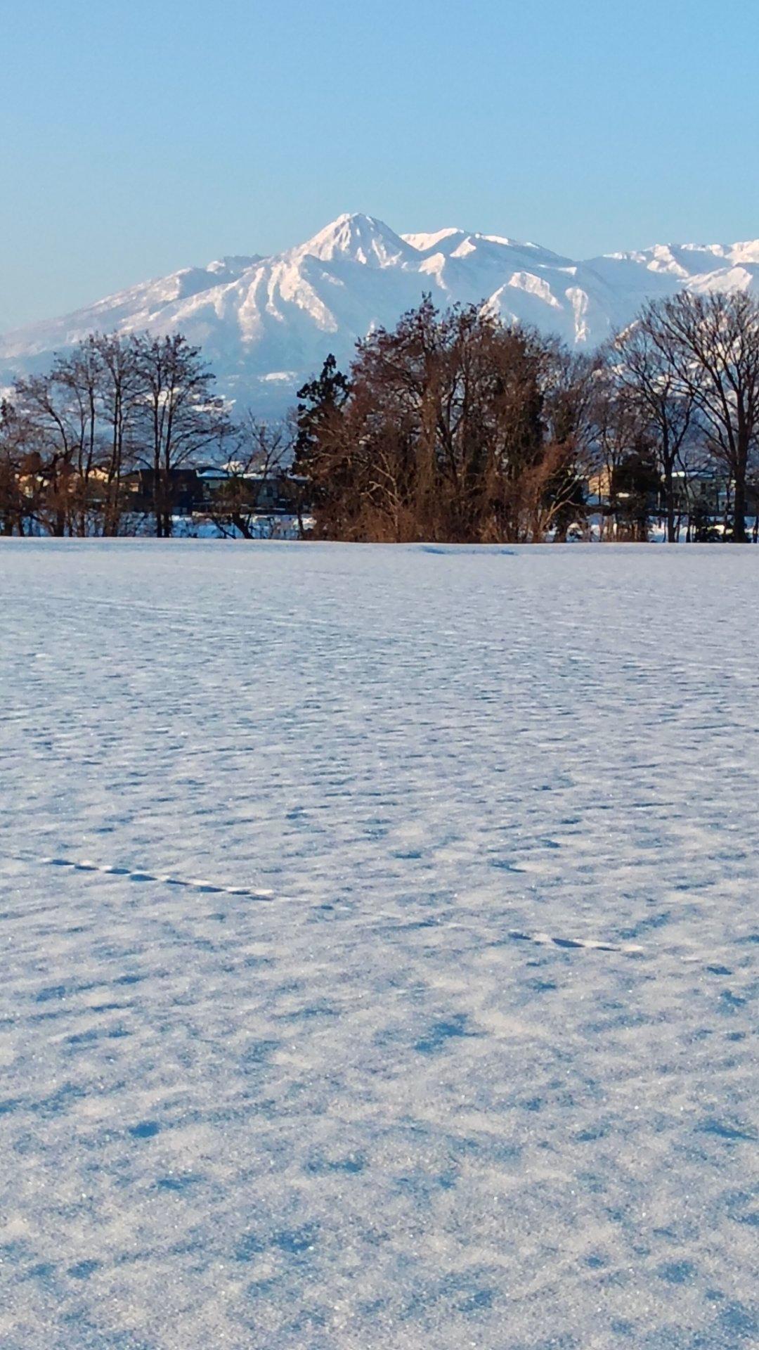 今日もしみ渡りができます。
