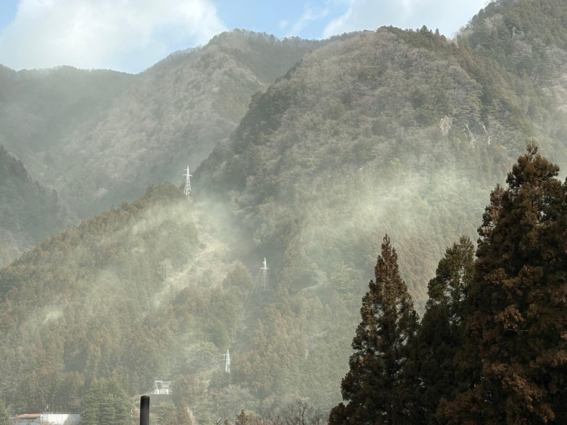 雲は多いですが、晴れて暖かいです。風もあり周辺の山から杉花粉が飛散しています。
