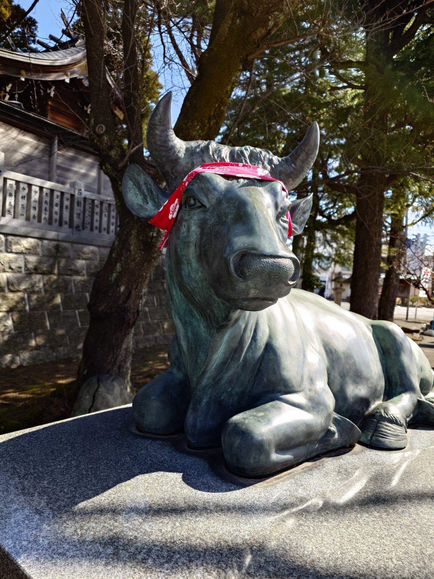 北風が寒い。学業の神社、於保多神社菅原道真公のおつかい臥牛。