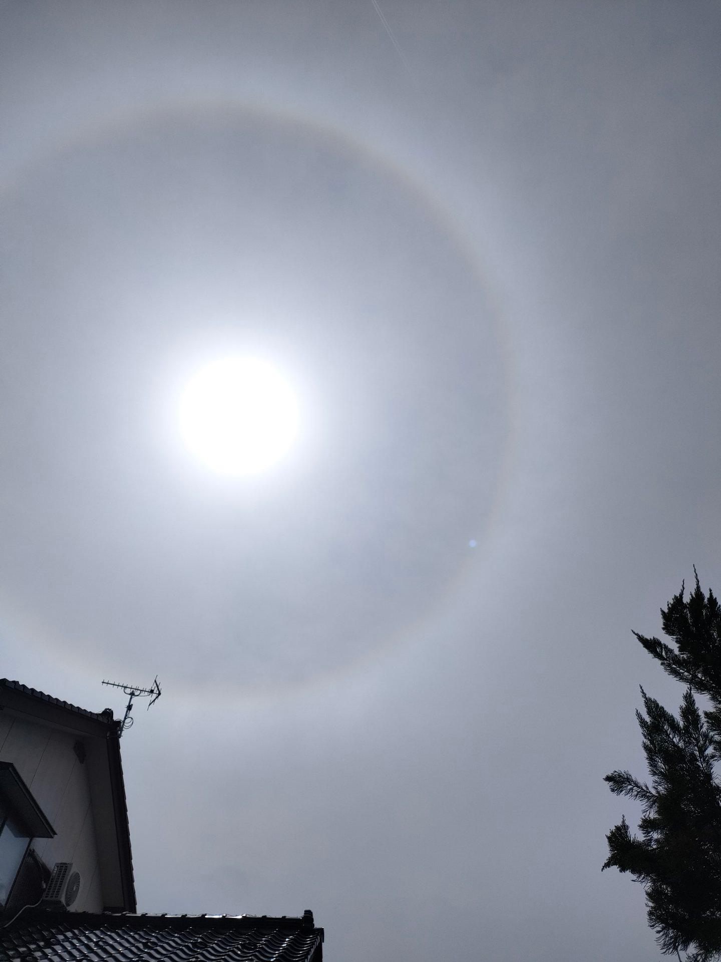 雲はないようだが全体にモヤ〜としてる　花粉か黄砂？