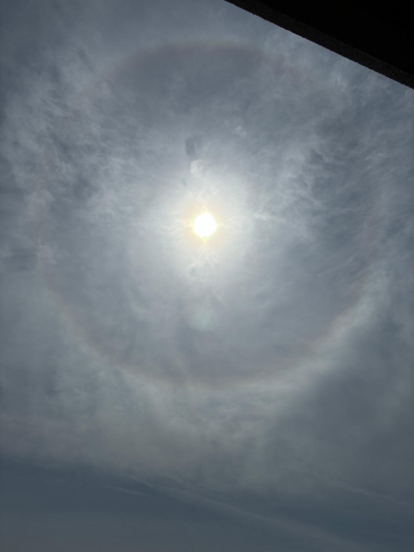 薄雲に覆われています　風弱く、たいへん過ごしやすい