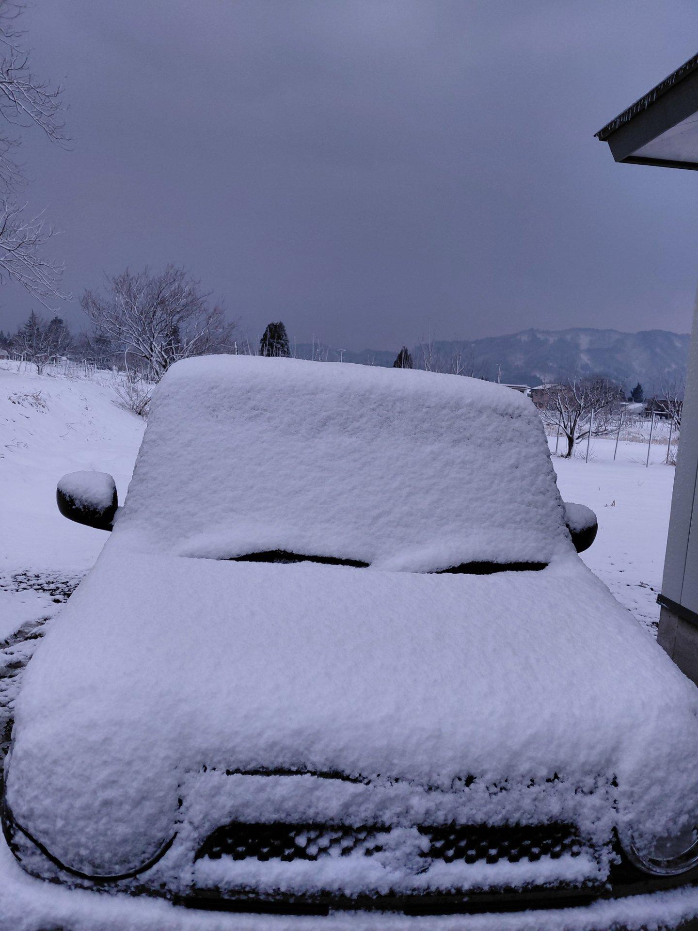 昨夜は、2センチ位雪ふった
