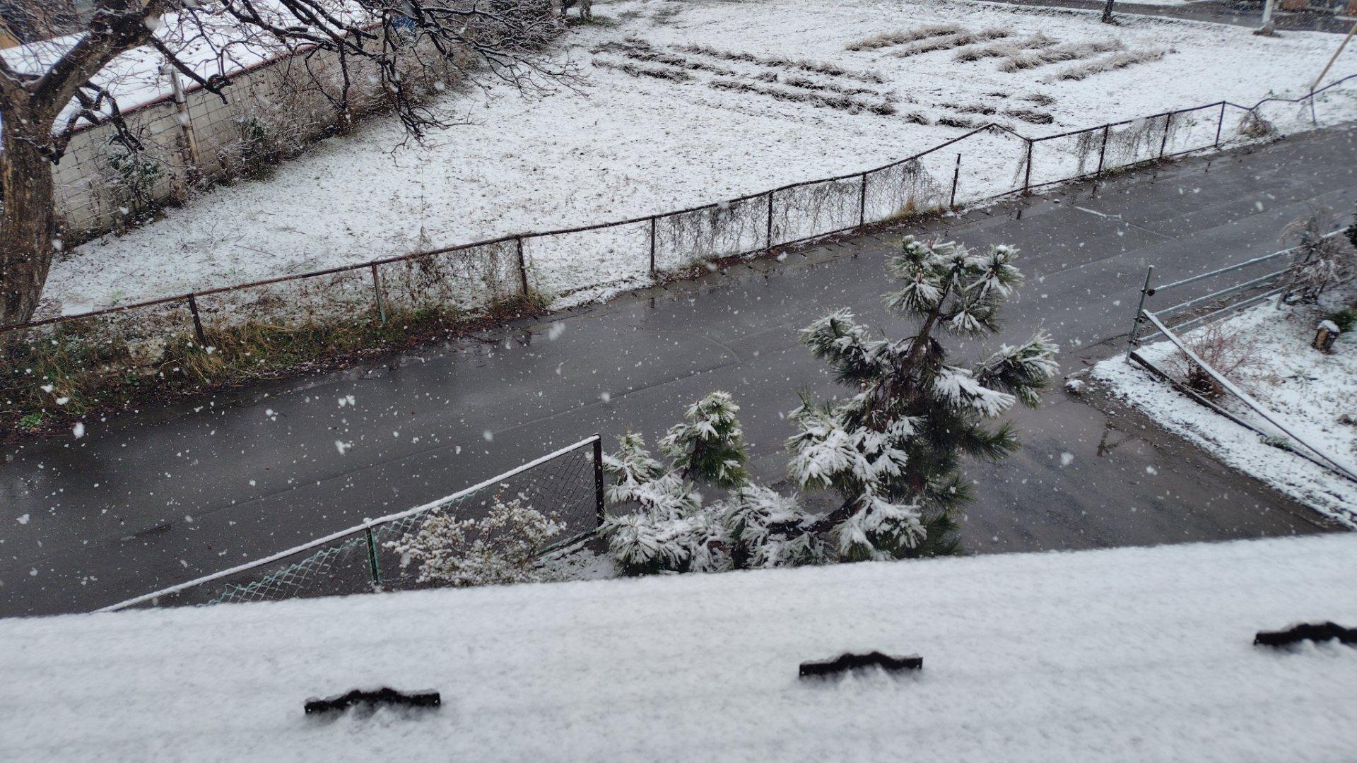 水分多めの雪