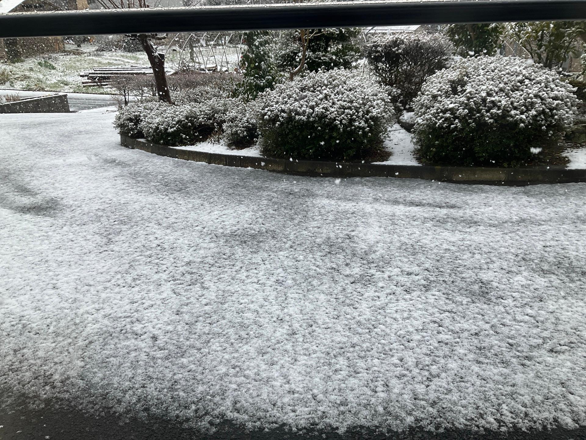 東北地方から雪の報告が増えています