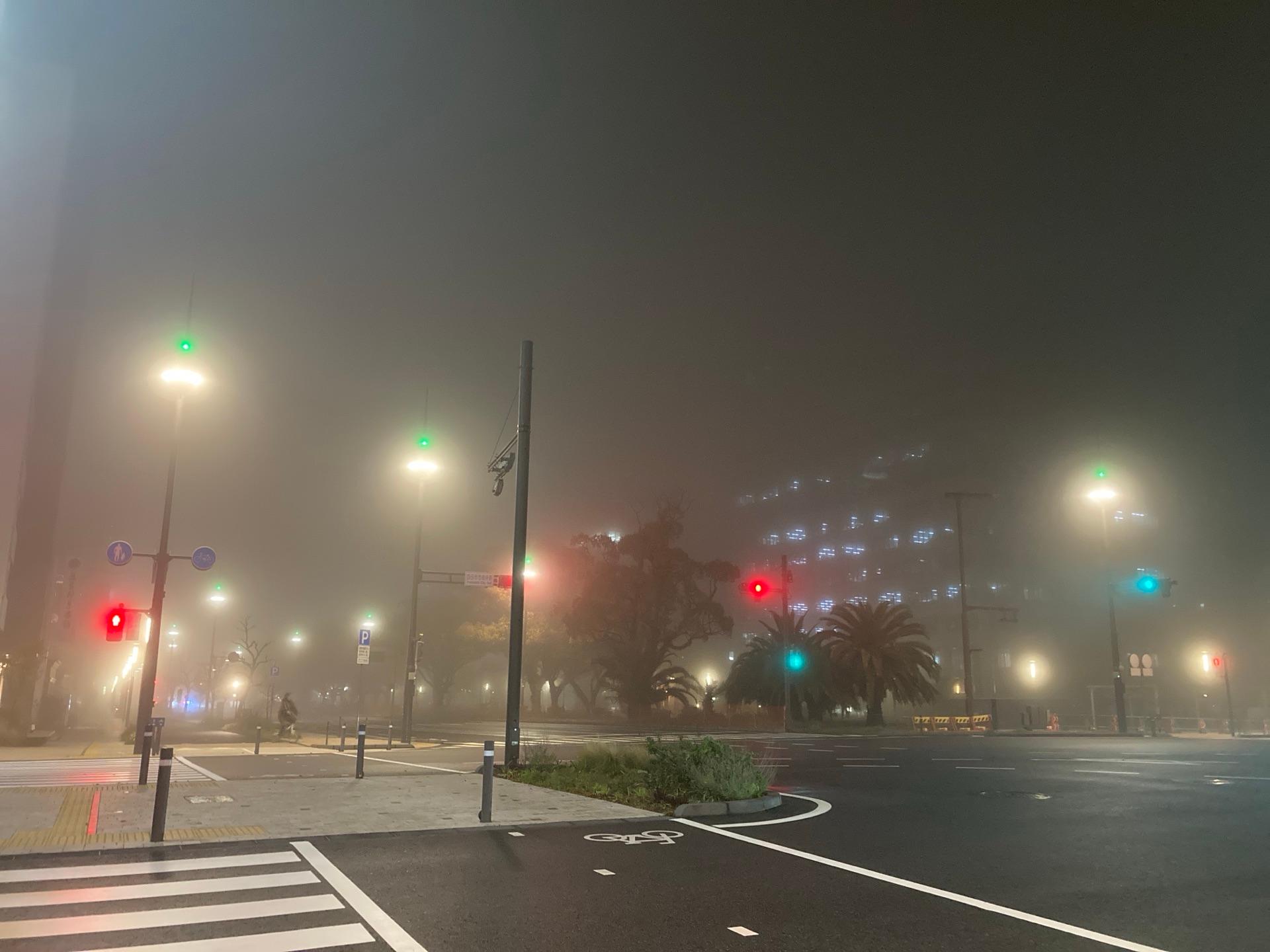 霧と芝桜と早めの鯉のぼりと