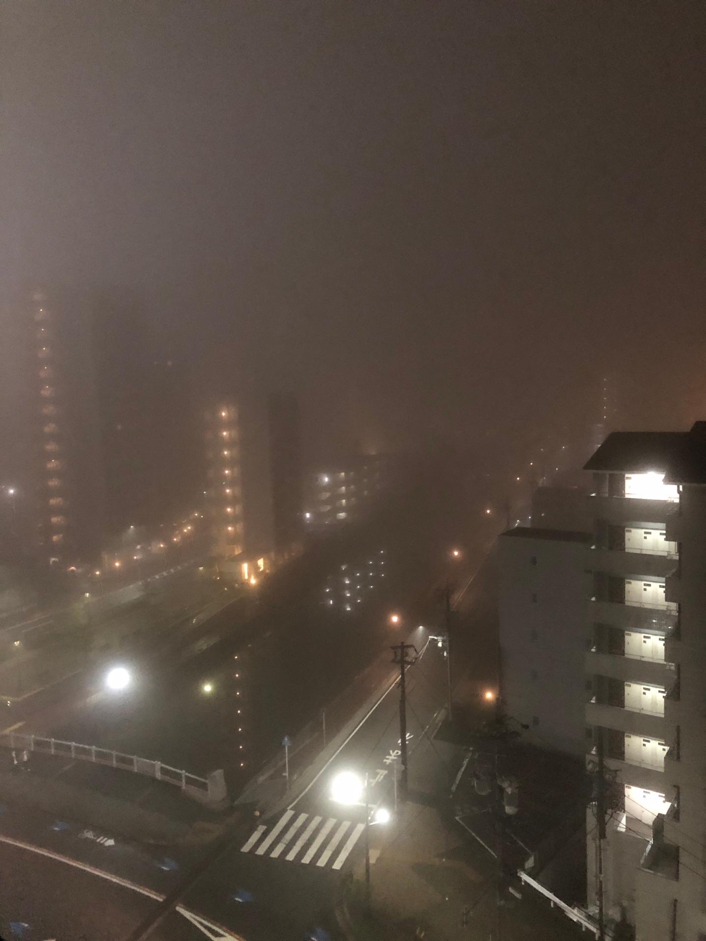 霧がすごい‼️こんな霧は今まで見た事無い。