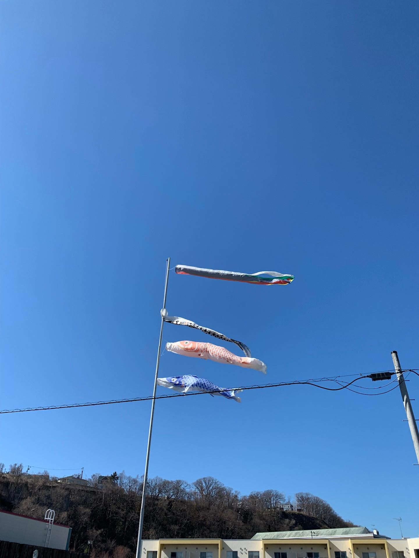 元気に泳いでます🎏