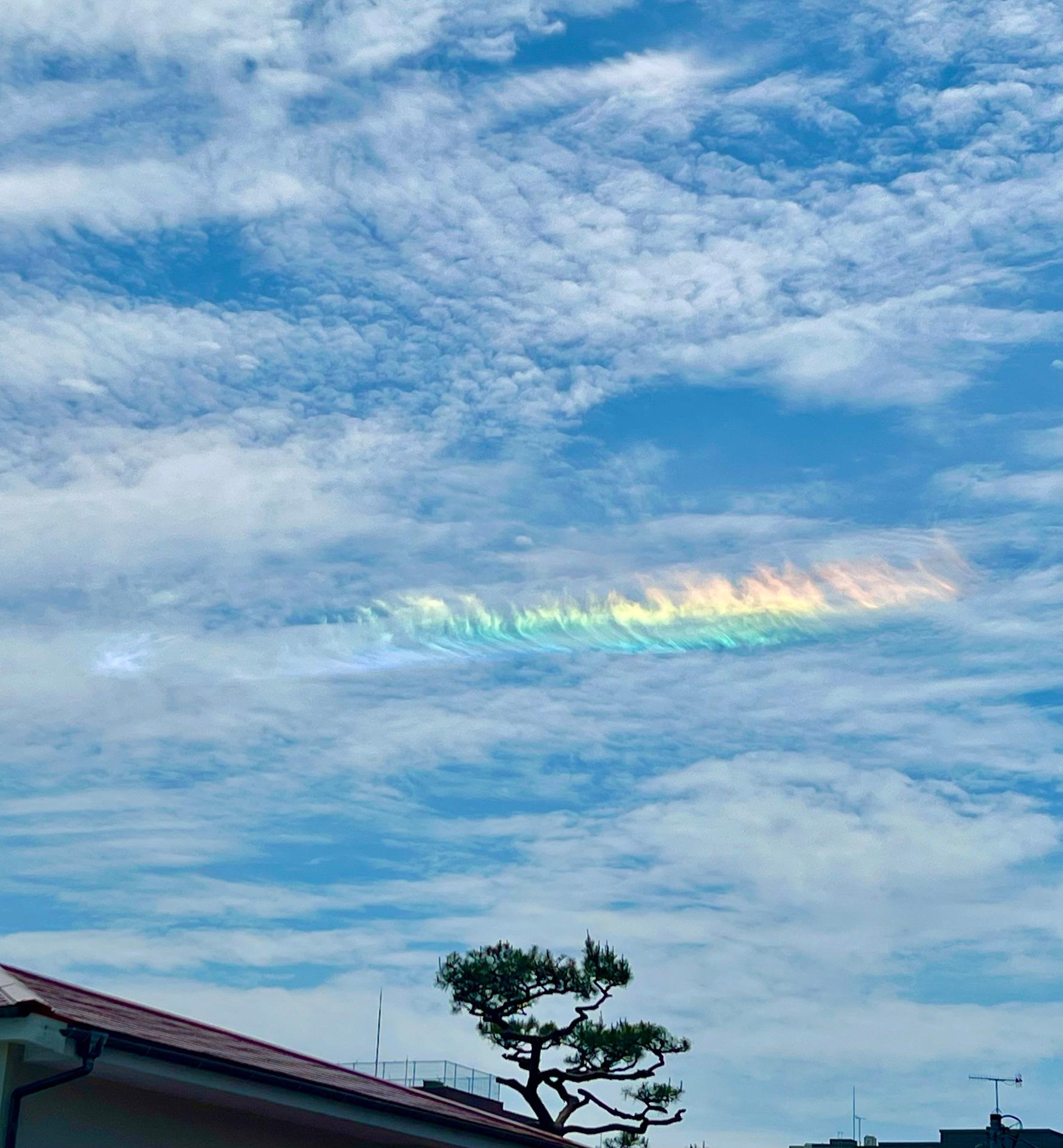 美しい彩雲です。