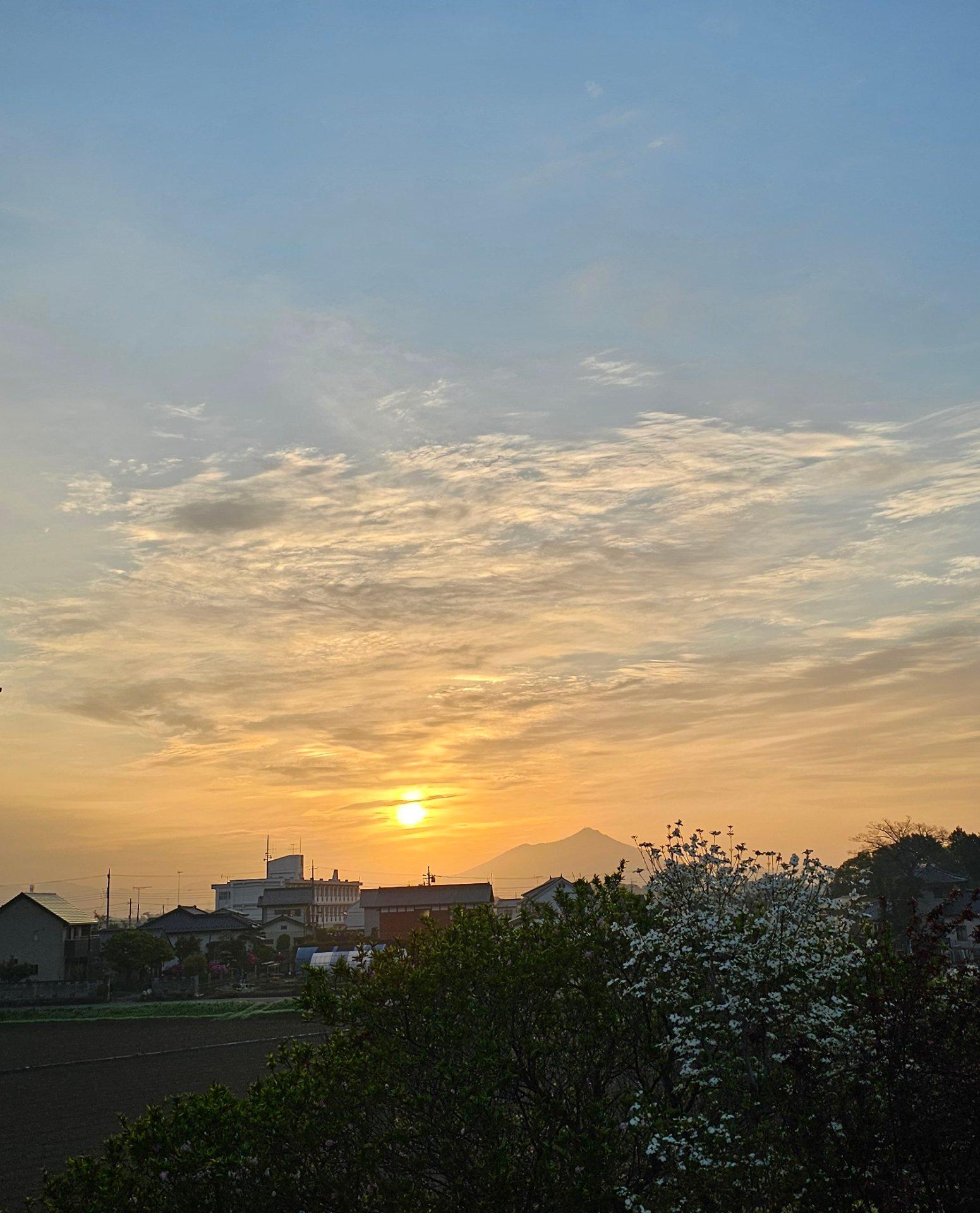 快晴です。寒い朝です。風は吹いてます。
