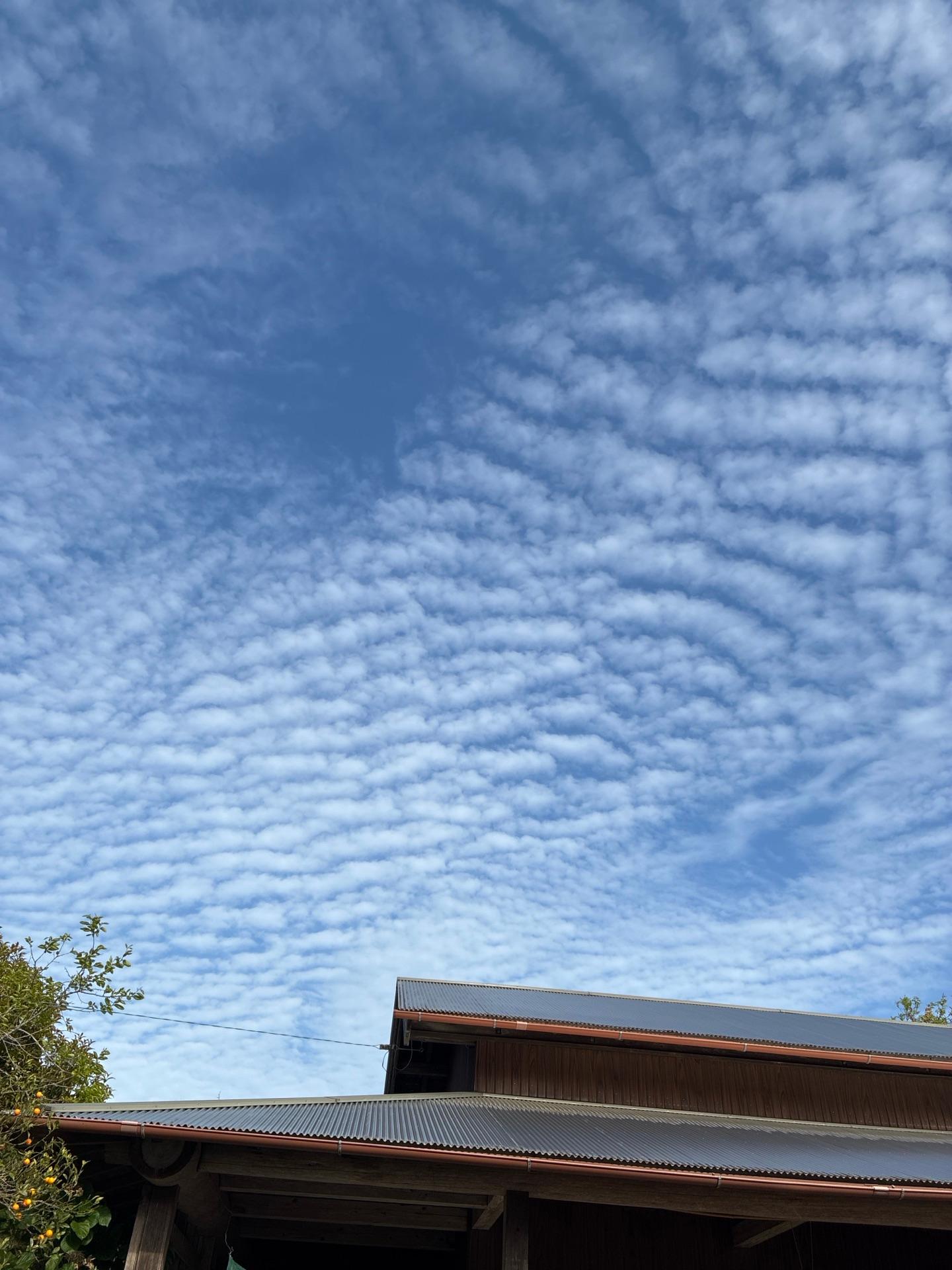 綺麗な空、気持ちいい気温です