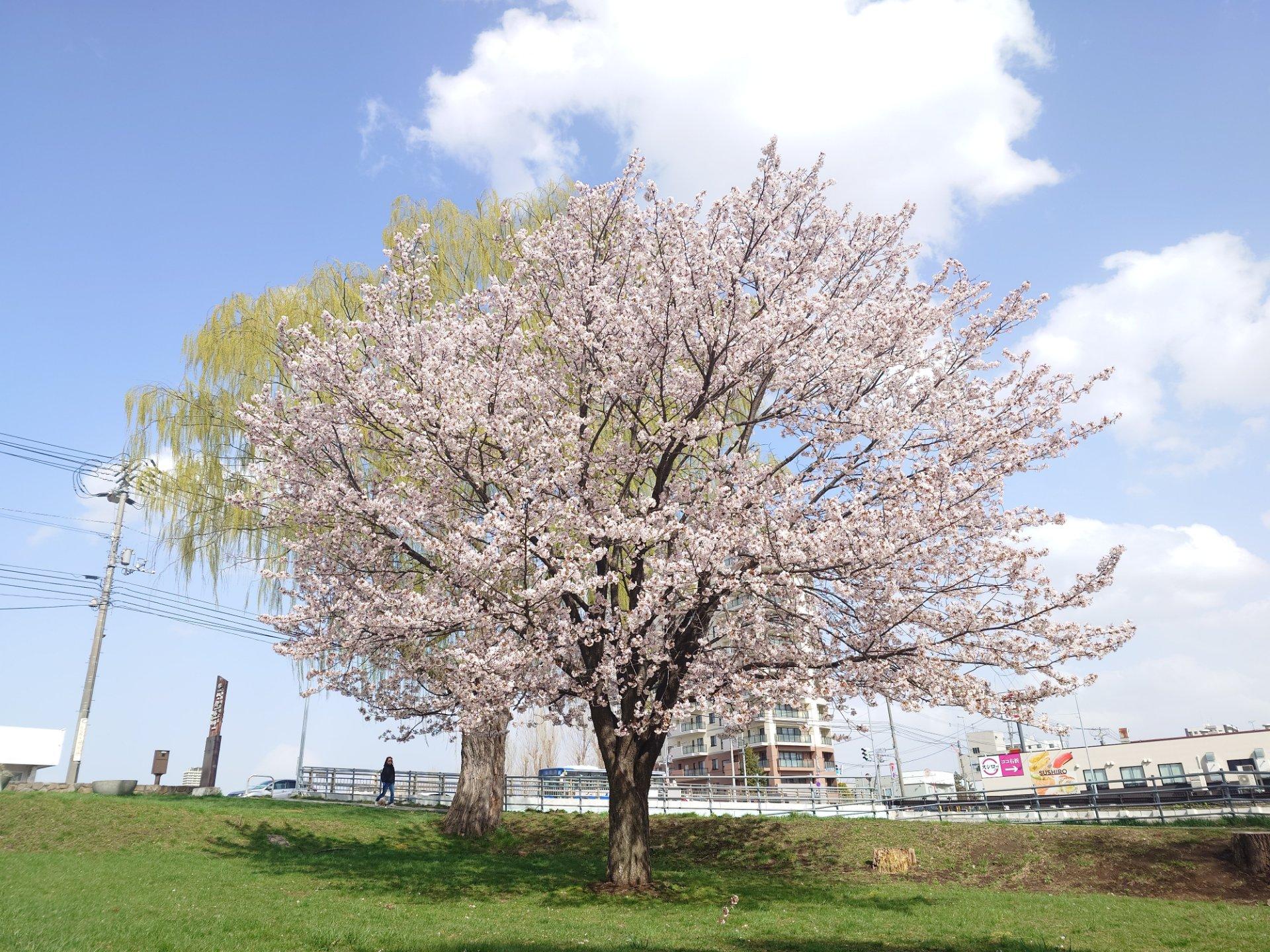 発寒川