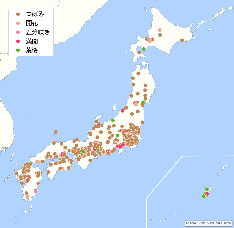 2026年の桜開花レポート - みんなの投稿ダイジェスト | Yahoo!天気・災害