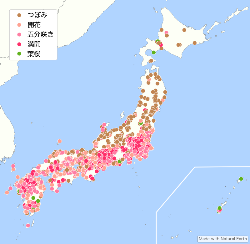 桜のプロットマップ