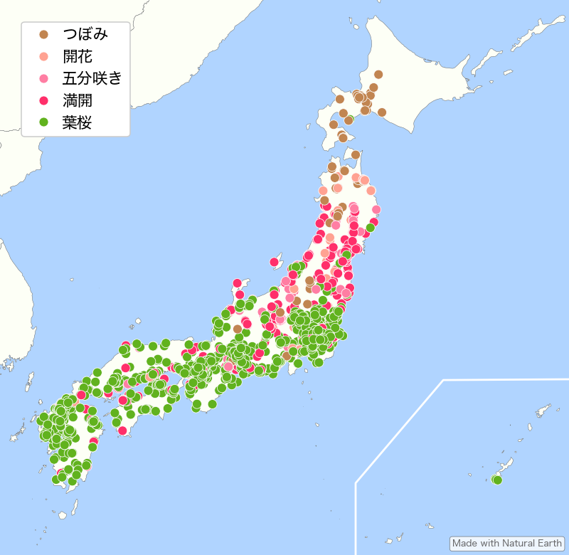 桜のプロットマップ