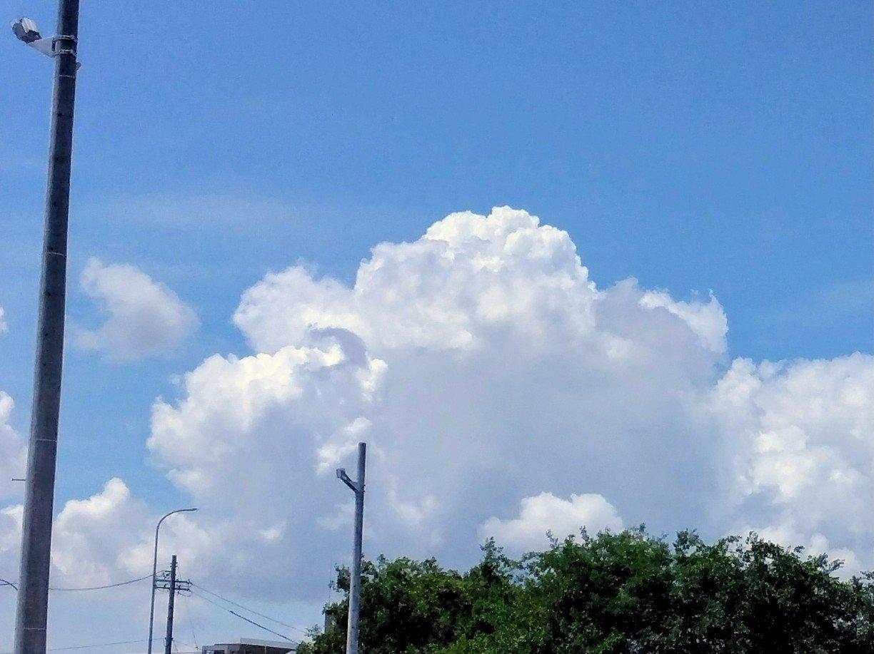 夏空と鯉のぼりと新緑と