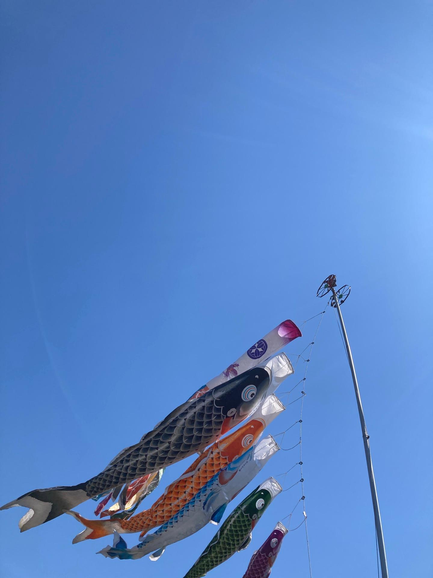 スッキリ晴れ風吹くと少し肌寒い