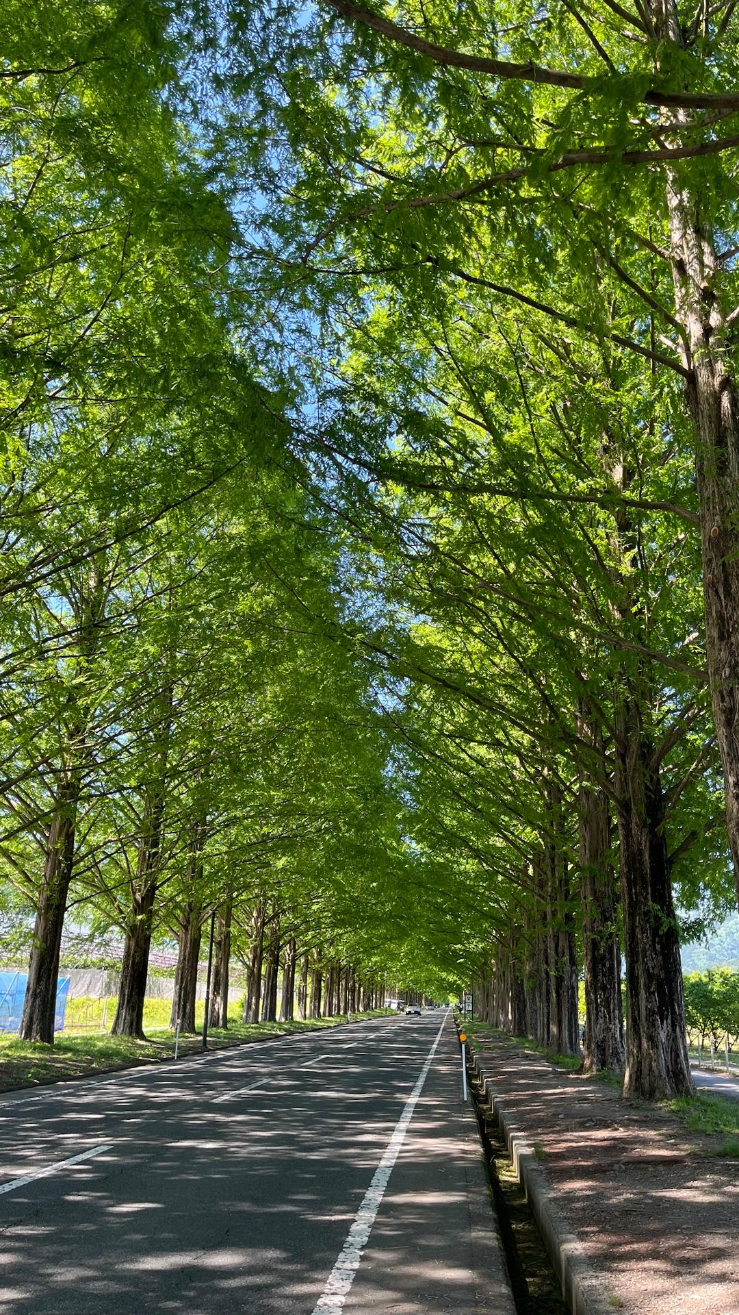 いい天気☀陽射しが暑い💦