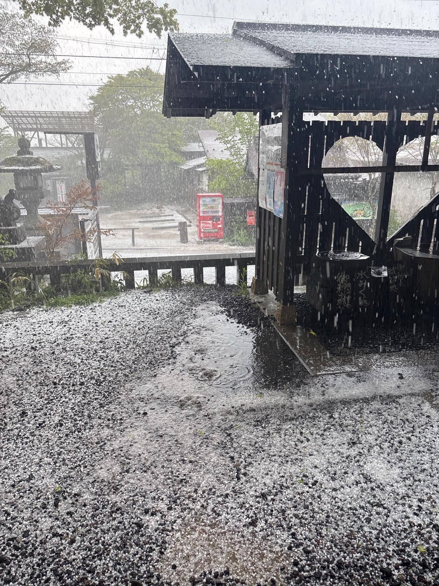 ひょう？あられ？やばすぎます！真っ白になってる！