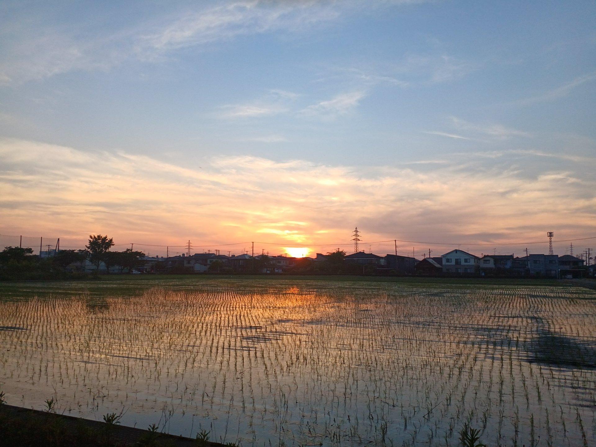 お疲れさまです🌅　今日も暑かったですね。ゆっくり休んで疲れを取りましょう！