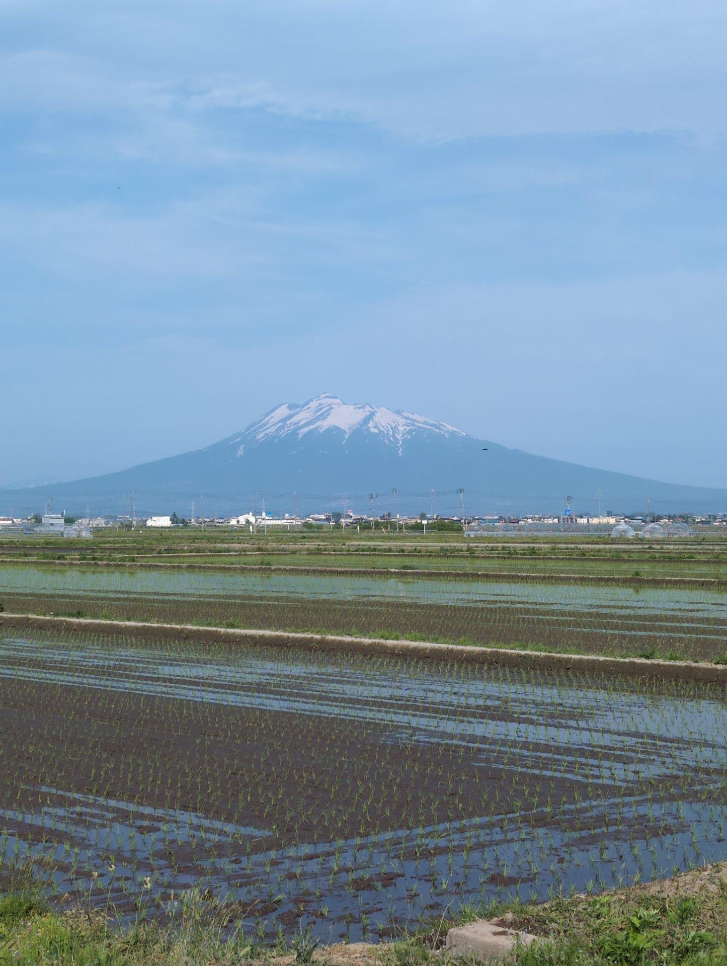 今日も暑くなるのかな？田んぼでは田植えが進んでいます。