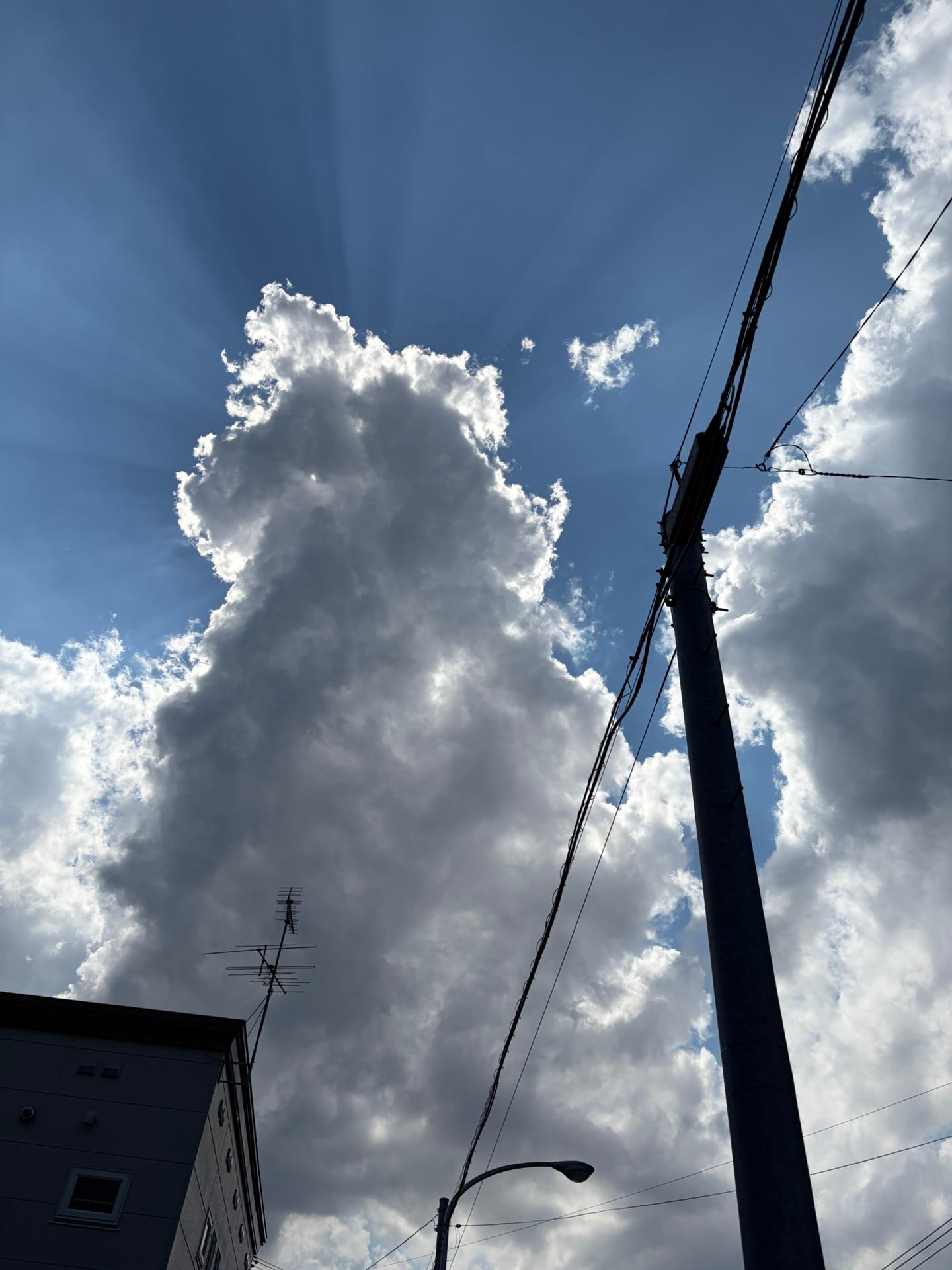 西の方は凄い雲が😳風は東風が若干強くなり始めました。昨日のようにななるの⁉️