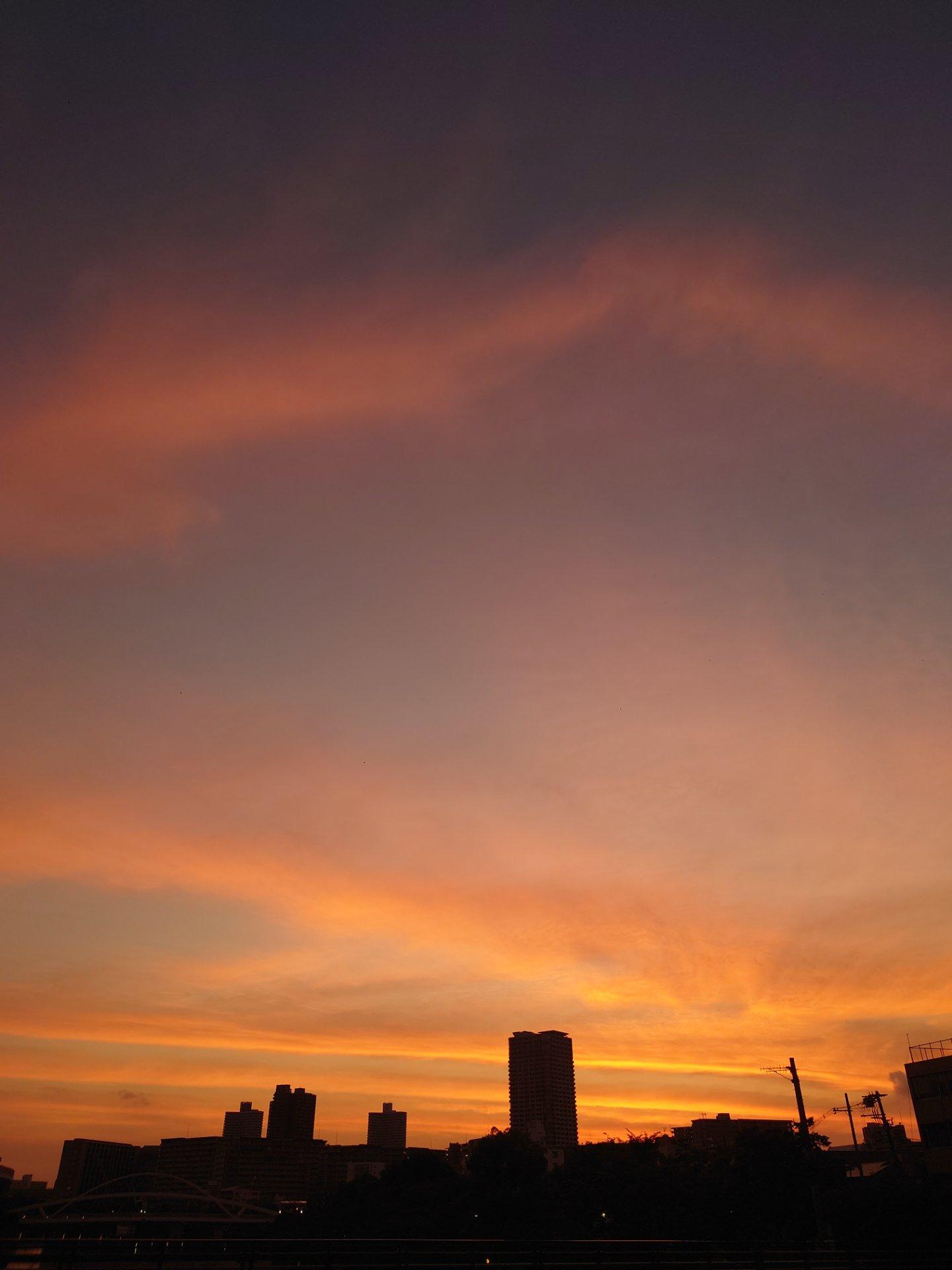 空が赤く染まっています